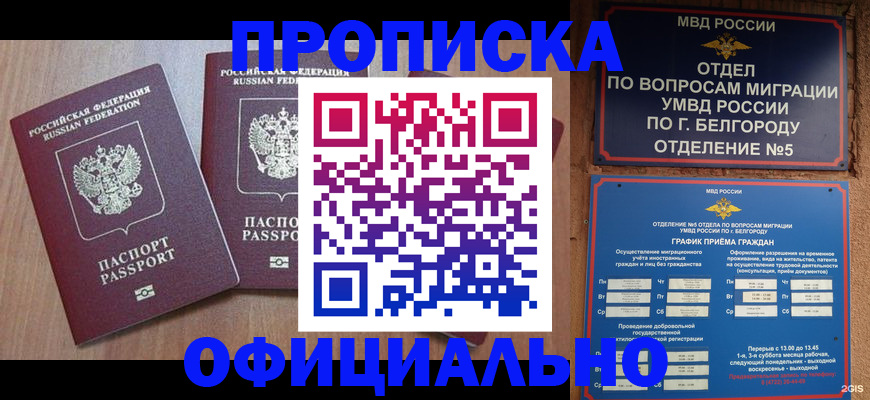 найти адрес прописки в Камне-на-Оби